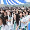 ao so mi dong phuc truong ngoi sao